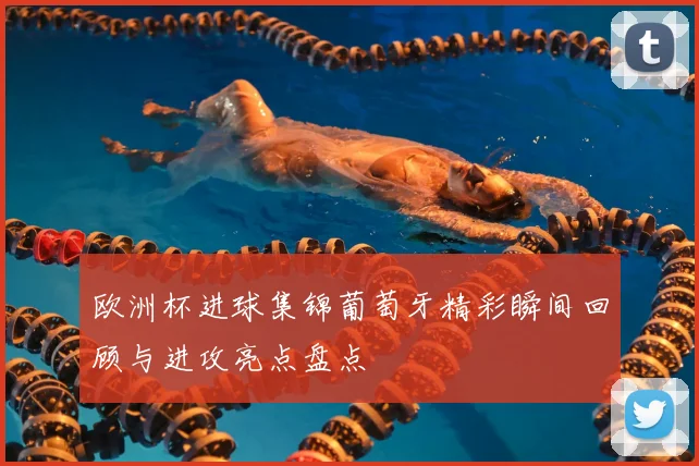 欧洲杯进球集锦葡萄牙精彩瞬间回顾与进攻亮点盘点