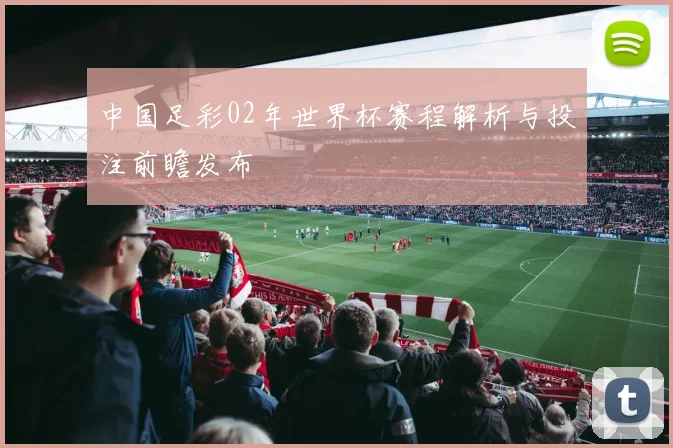 中国足彩02年世界杯赛程解析与投注前瞻发布