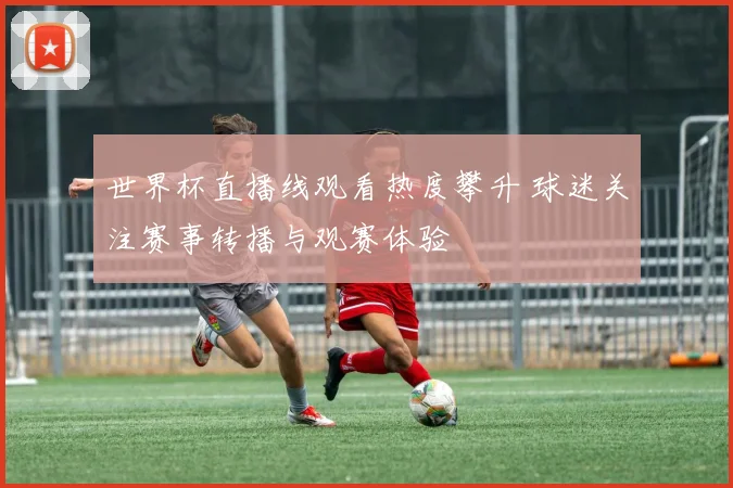 世界杯直播线观看热度攀升 球迷关注赛事转播与观赛体验