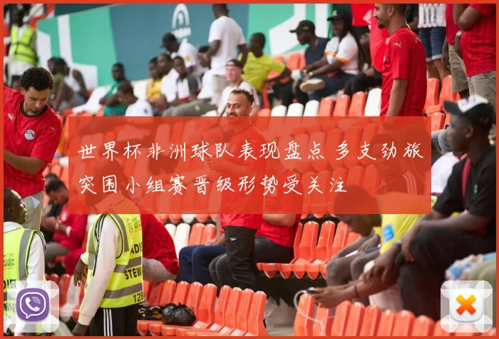 世界杯非洲球队表现盘点 多支劲旅突围小组赛晋级形势受关注