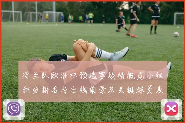 荷兰队欧洲杯预选赛战绩概览小组积分排名与出线前景及关键球员表现